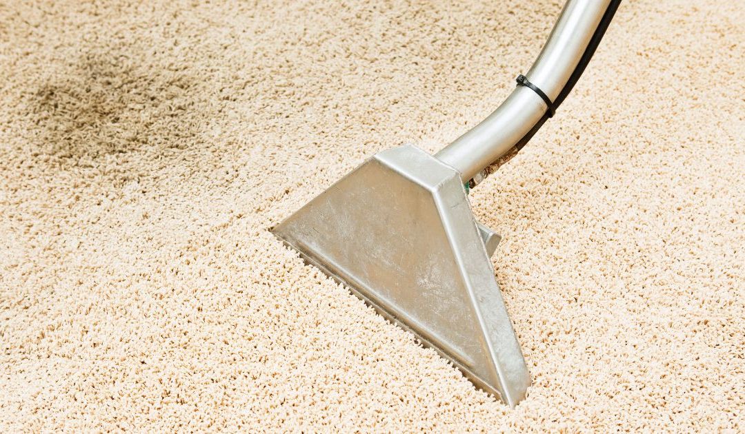 How to Clean Sick Off Carpet: A Step-by-Step Guide for UK Homes
