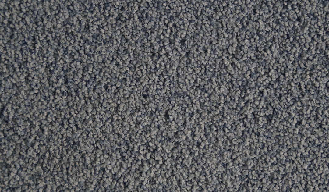 How to Remove Mold from Your Carpet: A Step-by-Step Guide