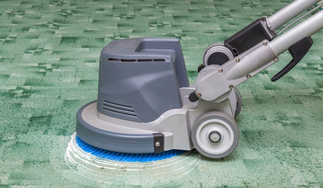 Carpet Cleaning Hale: Professional Services for a Spotless Home