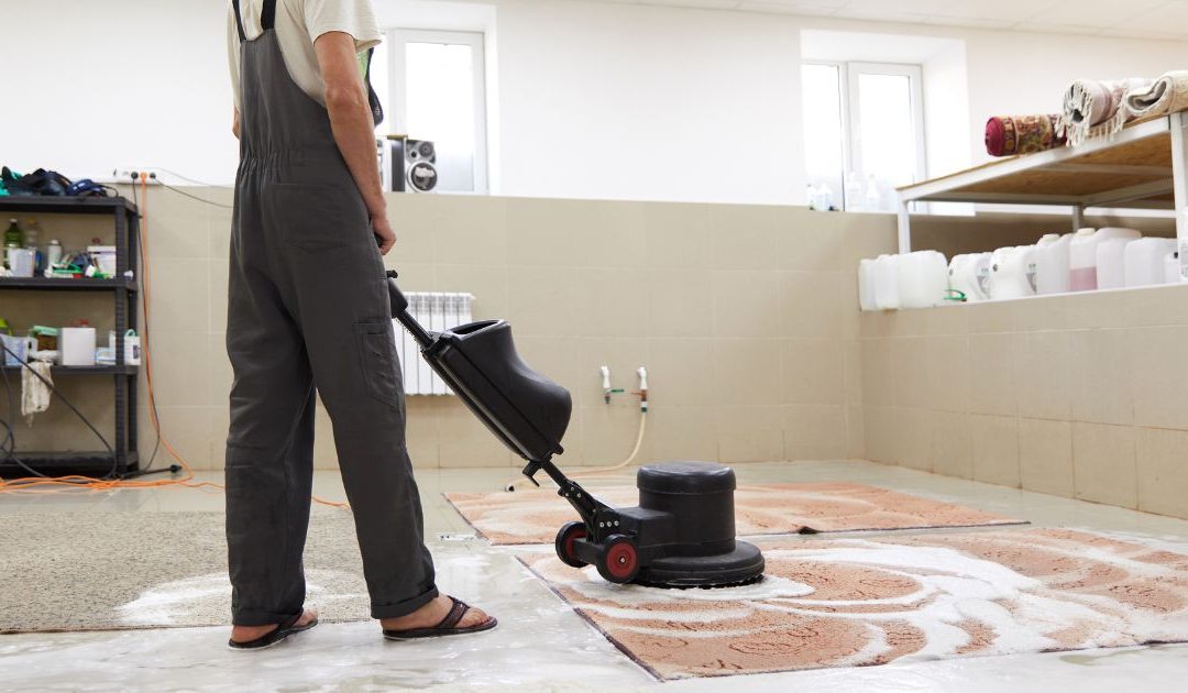 Carpet Cleaning Knutsford: Professional Services for Spotless Carpets