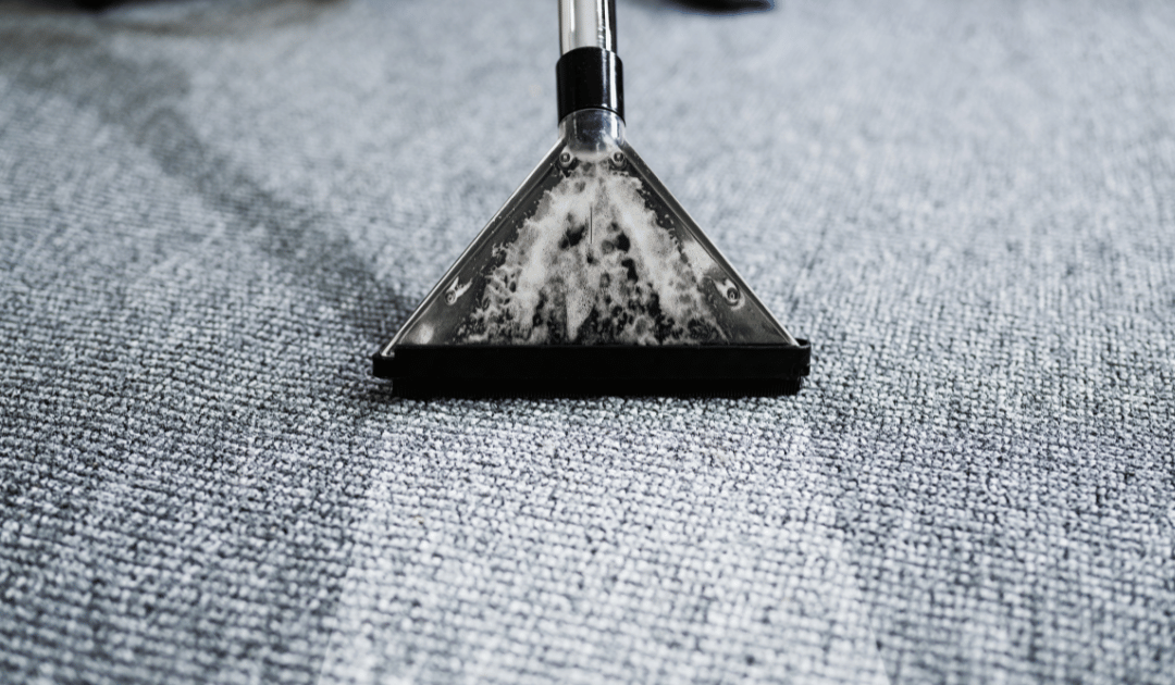 Carpet Cleaning Cheadle: Professional Services for a Spotless Home