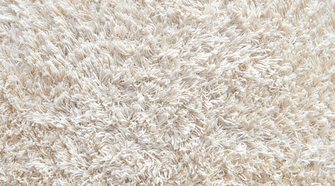 Can Carpet Cleaning Kill Bed Bugs? A Comprehensive Guide